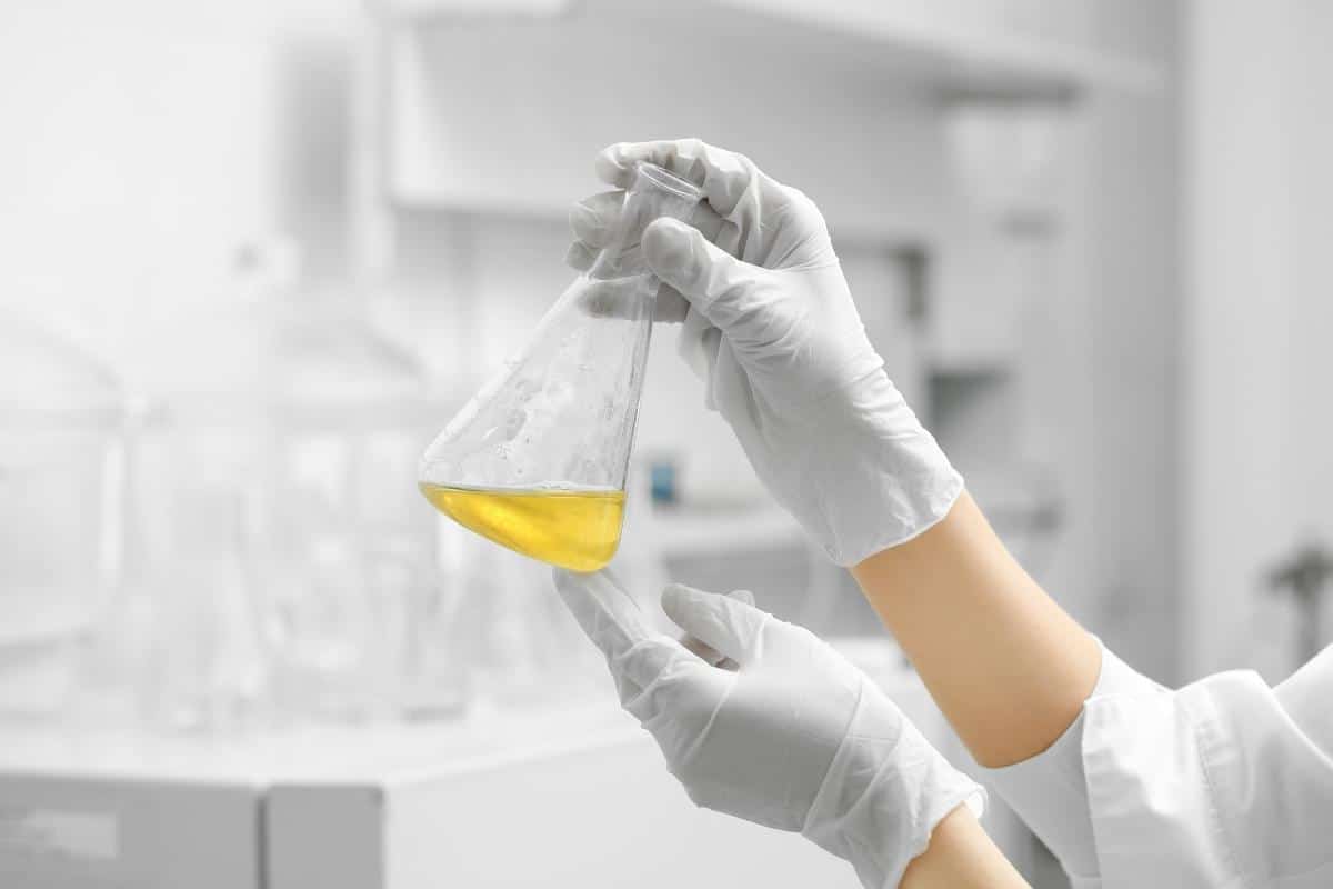 biotech guide 26076306