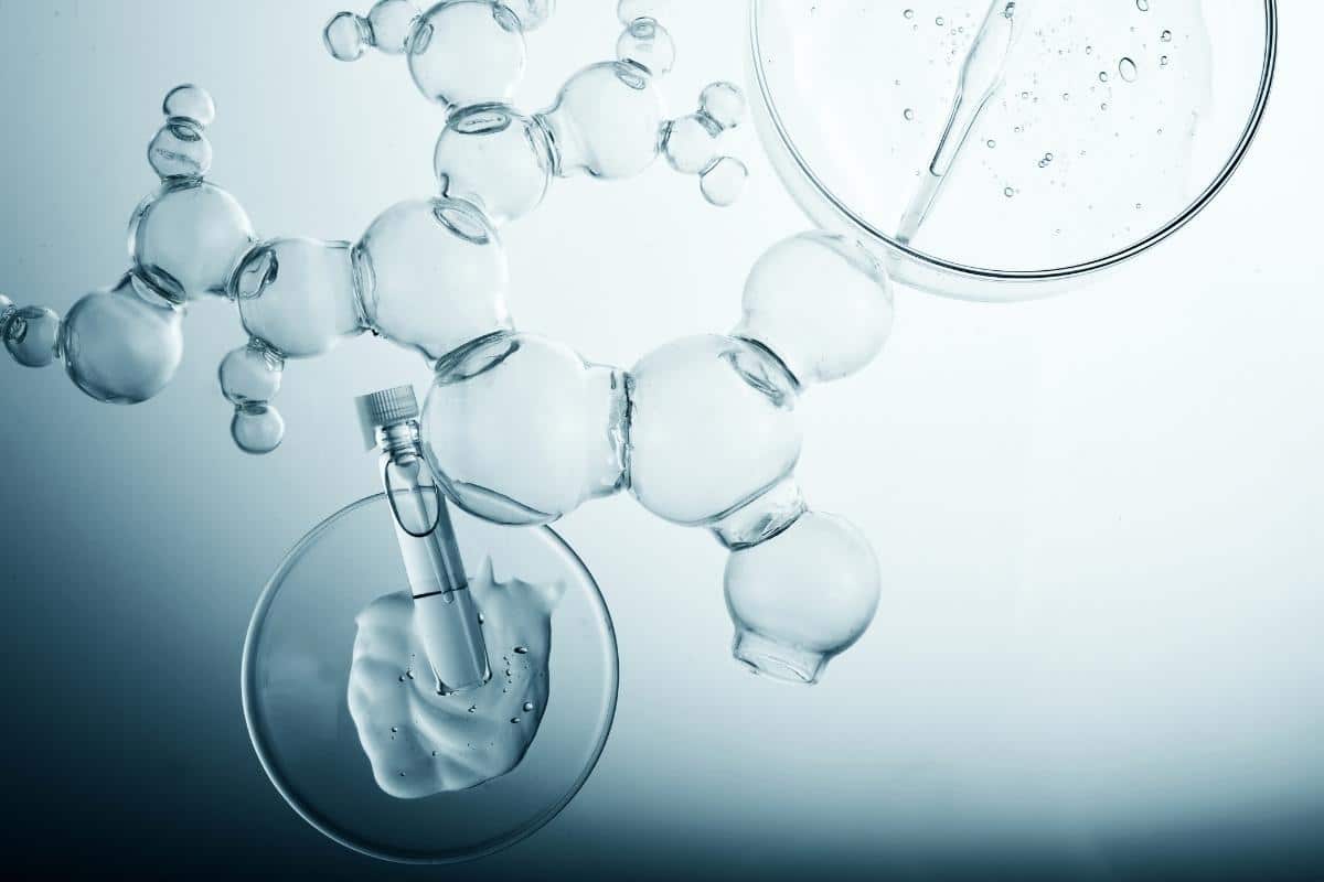 biotech guide 29072006