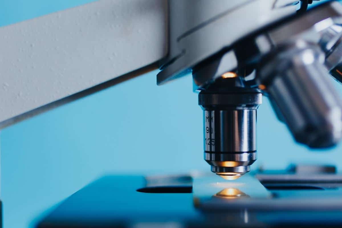 biotech guide 29976674