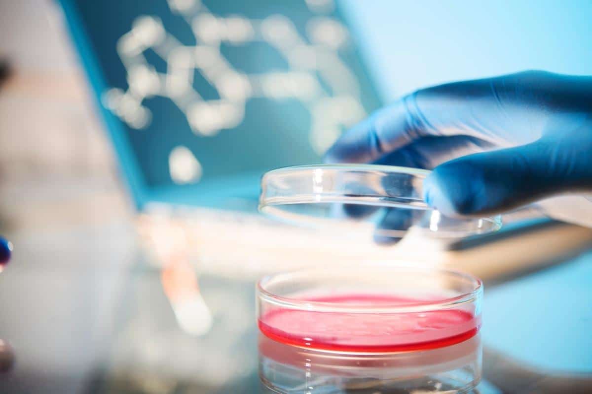 biotech guide 52792557