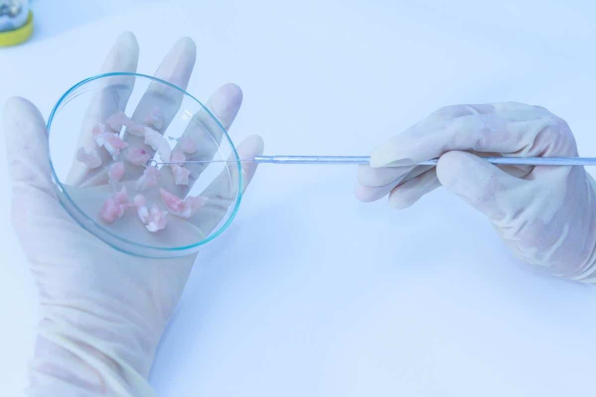 biotech guide 61863630